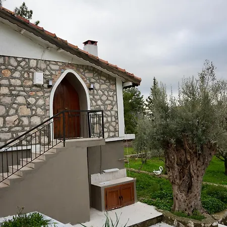 Babutsa Hills Chalet *